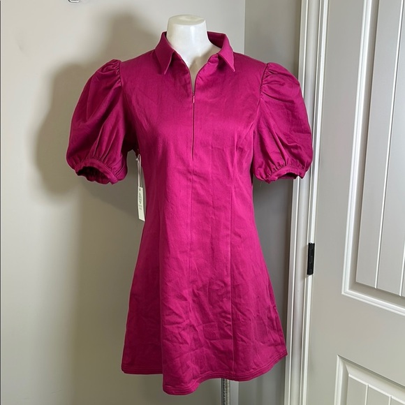Tuckernuck HYACINTH HOUSE Raspberry Front Zip Denim Mini Dress Sz L NEW - Picture 5 of 14